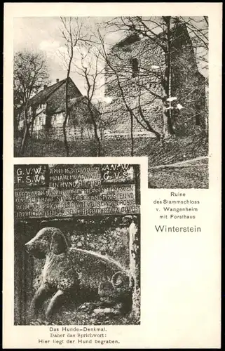 Ansichtskarte Winterstein-Waltershausen 2 Bild Stammschloß mit Forsthaus 1922