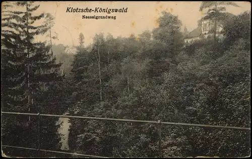 Ansichtskarte Klotzsche-Dresden Nesselgrundweg 1914