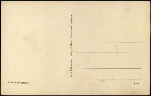 Ansichtskarte Hohegeiß-Braunlage Stadt im Winter 1932