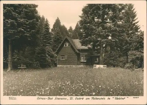 Ostrau-Bad Schandau Waldhof und Falkenstein 1980 Walter Hahn:13060