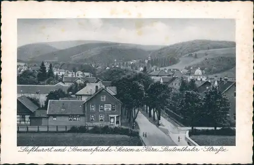 Ansichtskarte Seesen Lauthentaler Straße, Gasthaus 1927