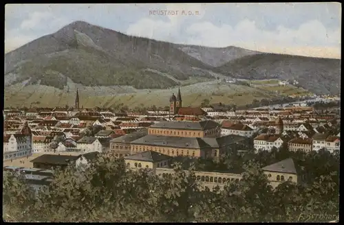 Neustadt an der Weinstraße Neustadt an der Haardt Blick auf die Stadt 1913