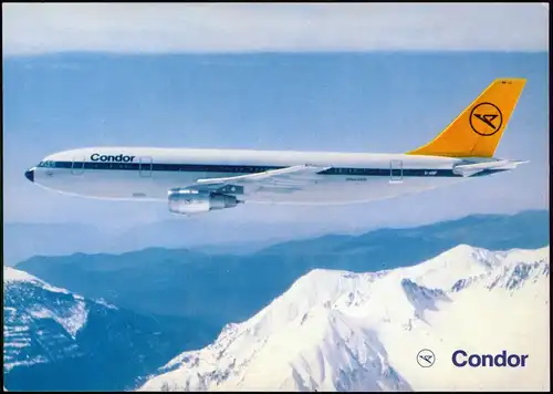 Ansichtskarte  Flugzeug Airplane Avion Foto-AK Condor Airbus A300 B 4 1975