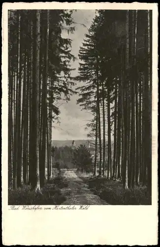 Ansichtskarte Bad Wörishofen Umland-Ansichten Hartenthaler Wald 1932