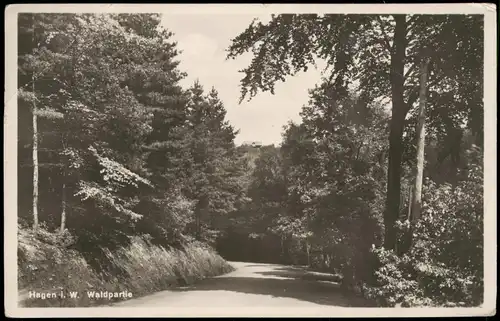 Ansichtskarte Hagen Westfalen Umlandansicht Wald Partie 1930    Bahnpoststempel