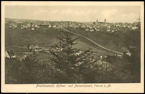 Ansichtskarte Freudenstadt Blick von der Ferne auf die Stadt 1913