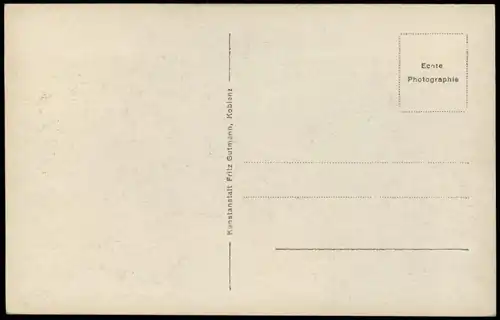 Ansichtskarte St. Goarshausen Loreleyfelsen am Rhein, Rheindampfer 1928