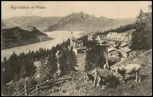 Ansichtskarte Rigi Kaltbad-Weggis Rigi Kaltbad Panorama mit Pilatus 1909