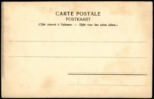 Postkaart Ternat Entrée du village 1911