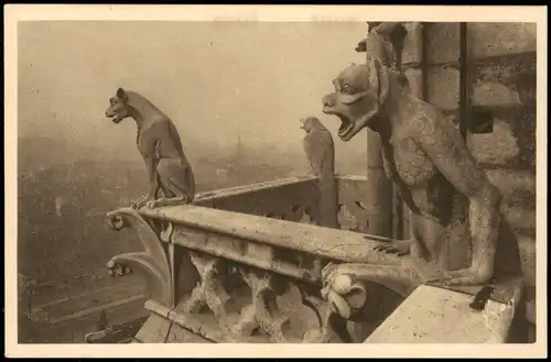 CPA Paris Kathedrale Notre-Dame, Speier 1928