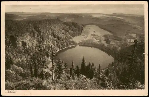 Ansichtskarte Feldberg (Schwarzwald) Feldsee - Schwarzwald 1926