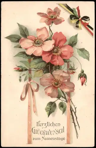 Ansichtskarte  Glückwunsch Geburtstag Birthday Blumen Patriotika 1918