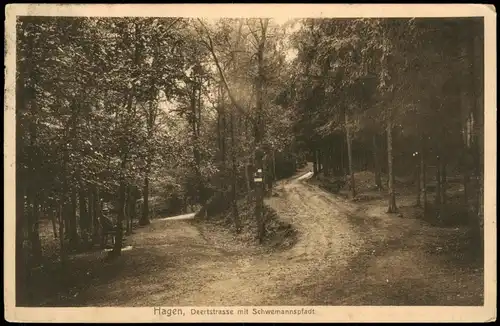 Ansichtskarte Hagen (Westfalen) Deertstrasse mit Schwemannspfadt 1911/1909