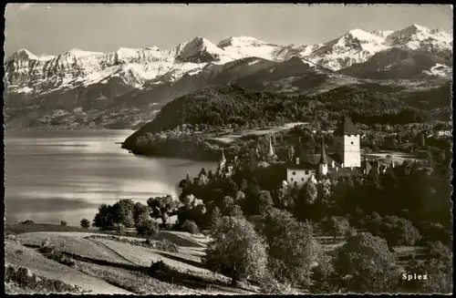 Ansichtskarte Spiez Panorama-Ansicht 1953