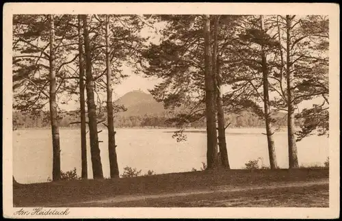 Postcard Hirschberg am See Doksy Břehyňský rybník/Heideteich 1926  gel. Stempel