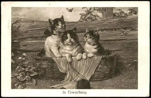 Ansichtskarte  Tiere Katzen (Cat Cats) Künstlerkarte mit Kätzchen 1931