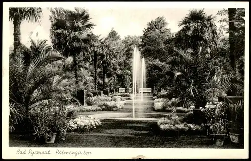 Ansichtskarte Bad Pyrmont Palmengarten 1955