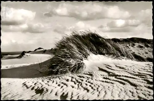 Ansichtskarte Sylt Insel Sylt Dünen Durchblick 1964
