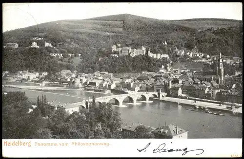 Ansichtskarte Heidelberg Panorama-Ansicht vom Philosophenweg aus gesehen 1903