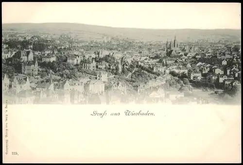 Ansichtskarte Wiesbaden Panorama-Ansicht Stadtansicht 1900