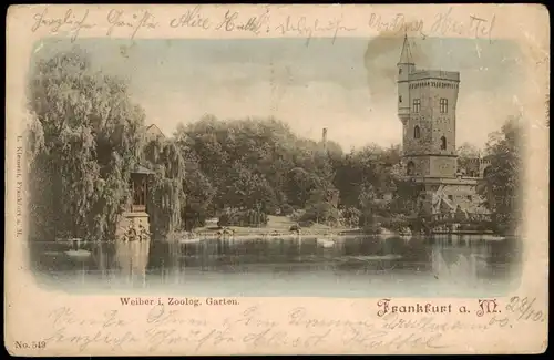 Ansichtskarte Frankfurt am Main Zoologischer Garten - Weiher 1900