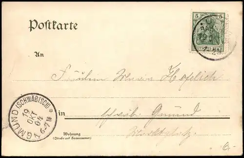 Ulm a. d. Donau Blick von der Eisenbahnbrücke, Flussbadeanstalt 1904