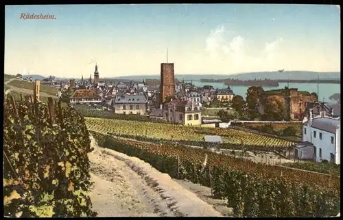 Rüdesheim (Rhein) Panorama-Ansicht Blick von den Weinbergen aus 1910