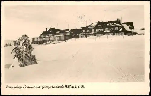 Postcard Petzer Pec pod Sněžkou Geiergucke im Winter 1930