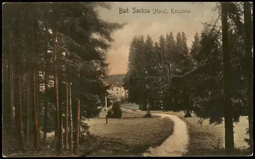 Ansichtskarte Bad Sachsa Katzental - Weg, colorierte AK 1909