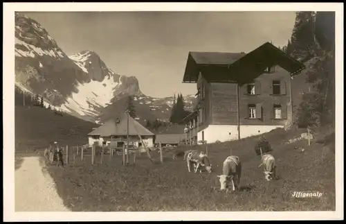 Ansichtskarte Lauterbrunnen Iffigenalp, Kühe - Fotokarte 1930