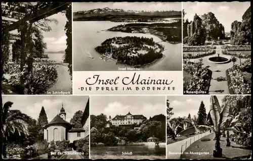 Insel Mainau-Konstanz Mehrbild Rosengarten, Luftbild, Schloß 1957