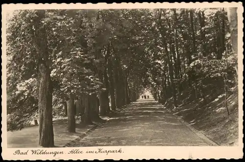 Ansichtskarte Bad Wildungen Allee im Kurpark. 1931