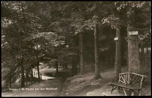 Ansichtskarte Hagen (Westfalen) Partie bei der Waldlust 1929