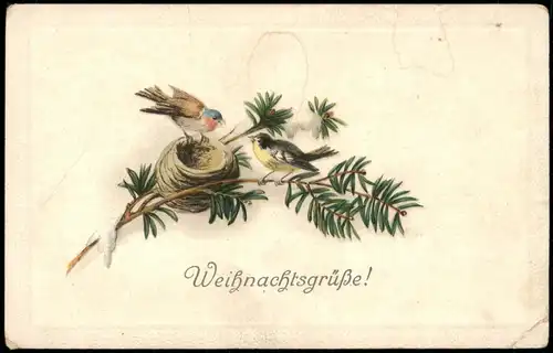 Weihnachten - Christmas Vögel, Nest und Zweig Künstlerkarte 1915