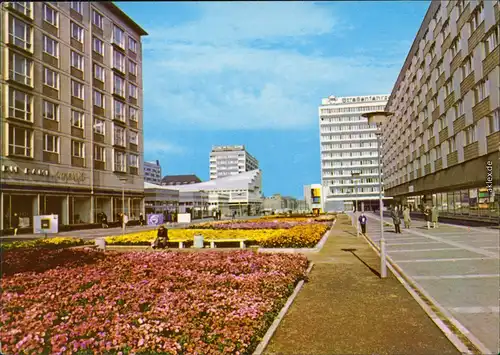 Ansichtskarte Leipzig Sachsenplatz, Blumen 1982