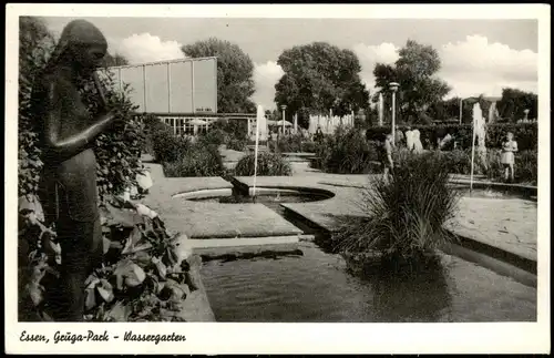 Ansichtskarte Essen (Ruhr) Gruga-Park - Wassergarten 1956