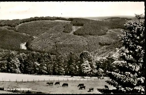 Hoheleye-Winterberg Panorama-Ansicht Blick v.d. Veranda Berghotel 1965