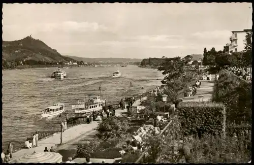 Bad Godesberg-Bonn Panorama Blick von der Bastei zum Siebengebirge 1955