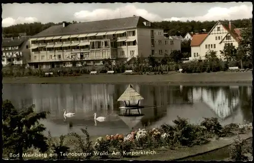Horn-Bad Meinberg Bad Meinberg am Teutoburger Wald Am Kurparkteich 1961