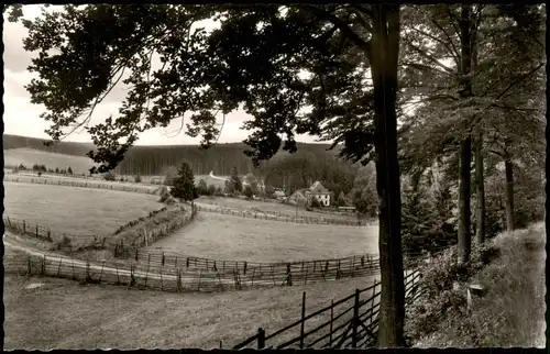 Neuhaus im Solling-Holzminden Schießhäusertal im Solling Umland 1958