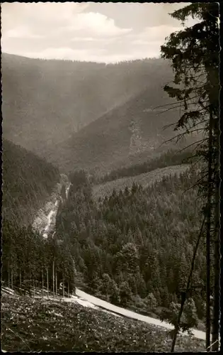 Hahnenklee-Bockswiese-Goslar Umland-Ansicht Weg von Hahnenklee nach Goslar 1956