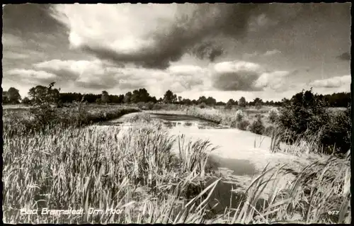 Ansichtskarte Bad Bramstedt Umlandansicht Im Moor 1960