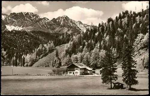 Ansichtskarte Bayrischzell Gasthaus Zipflwirt Sonnwendjoch 1955