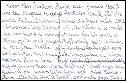 Ansichtskarte Gernsbach Bank, Stadt und Schloß mir Weinbergen 1964