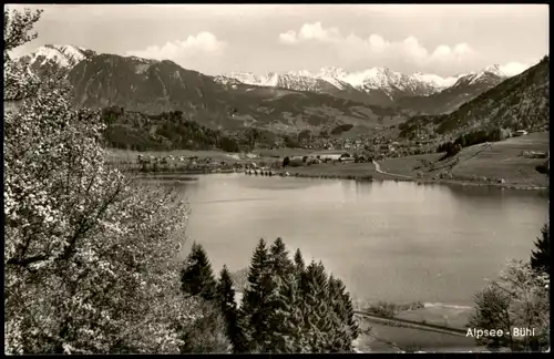 Ansichtskarte Immenstadt (Allgäu) Alpsee-Bühl, Fotokarte 1965