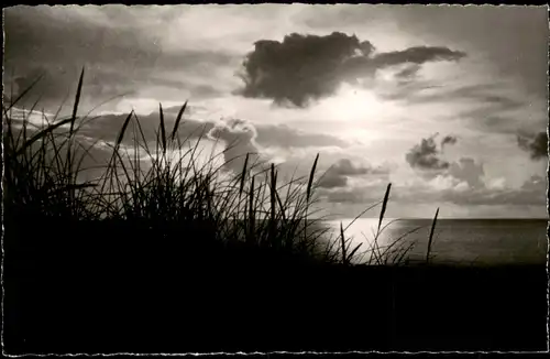 Ansichtskarte Kampen (Sylt) Sonnenuntergang, Stimmungsbild Fotokarte 1961