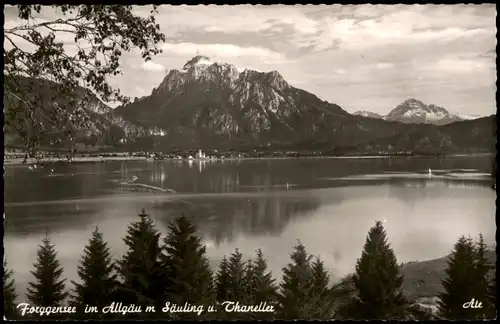 Ansichtskarte Schwangau Forggensee im Allgäu m Säuling u. Chaneller 1961