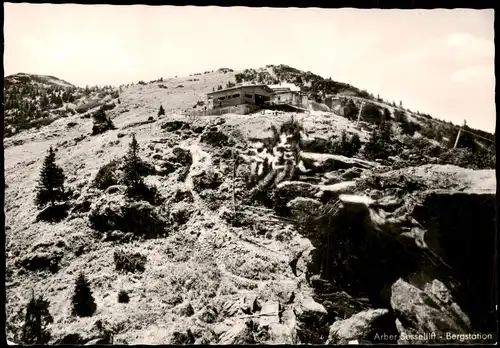 Ansichtskarte Bayerisch Eisenstein Arber Sessellift Bergstation 1965