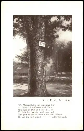 Ansichtskarte Bad Mergentheim Spruch und Baum 1940