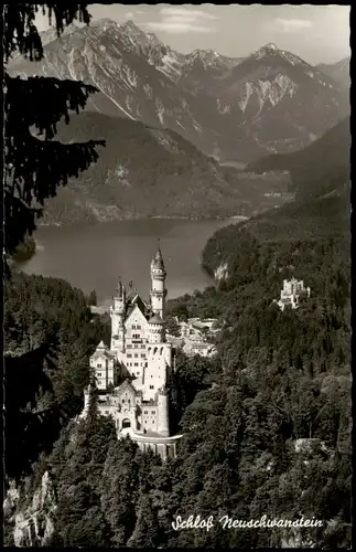 Ansichtskarte Schwangau Schloss Neuschwanstein 1960